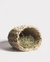 nature-first-grassy-nest (1).webp