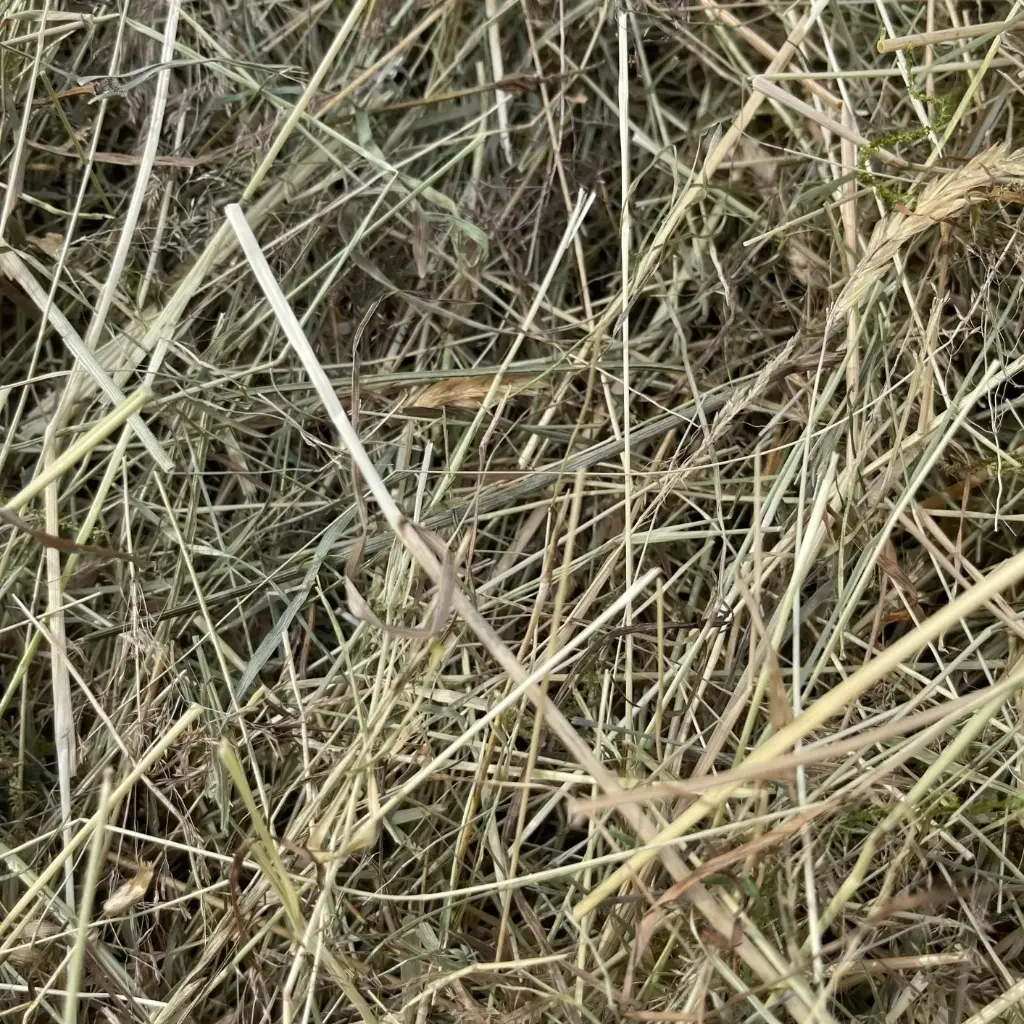 Duits Kruidenhooi - Puur Natuur - BAAL 