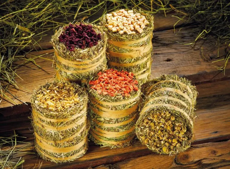 Rouleau de timothe - différents saveurs