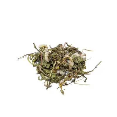 Feuille de pissenlit avec fleur