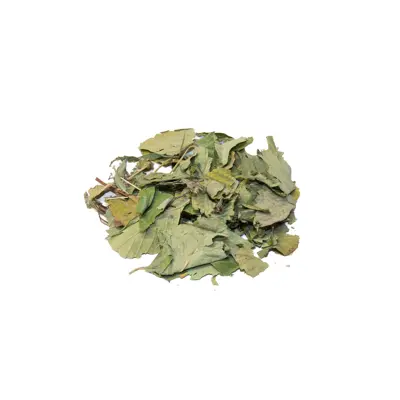 Feuilles de fraisier