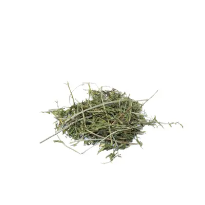 Wortelloof 