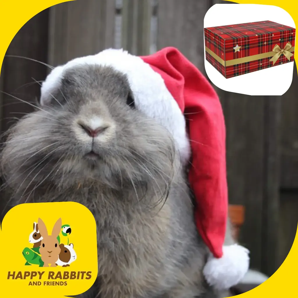 Gift sets – Christmas theme – Rabbits