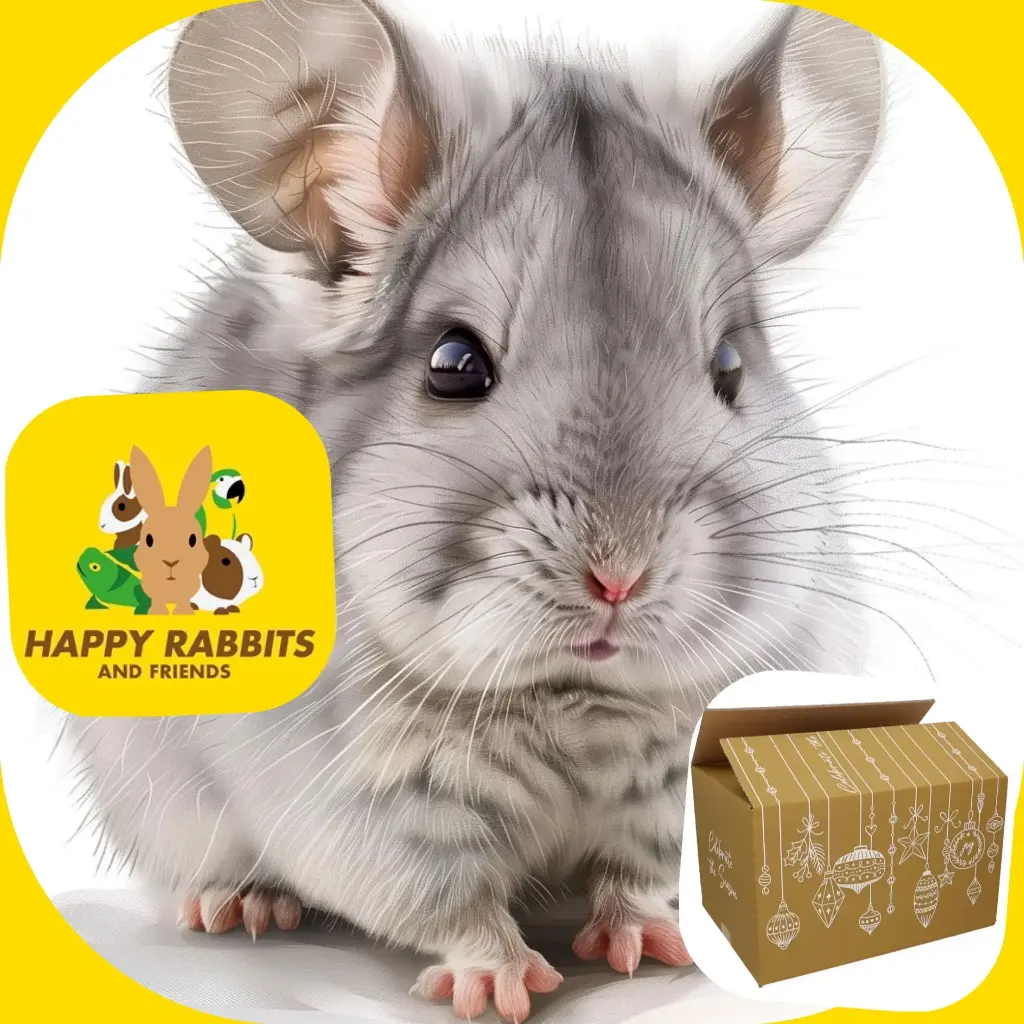 Coffrets cadeaux – Thème de Noël – Chinchillas