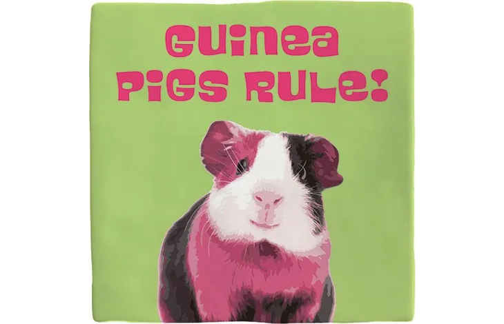 Carreau décoratif - Cochon d'Inde