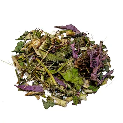 Echinacea - korte snit 