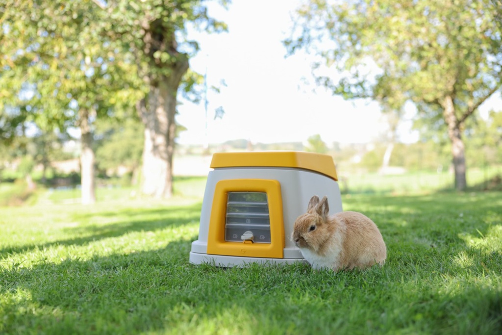 Bunny Base - Terrier de lapin