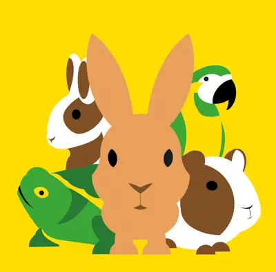 Het Weggooien is zonde pakket