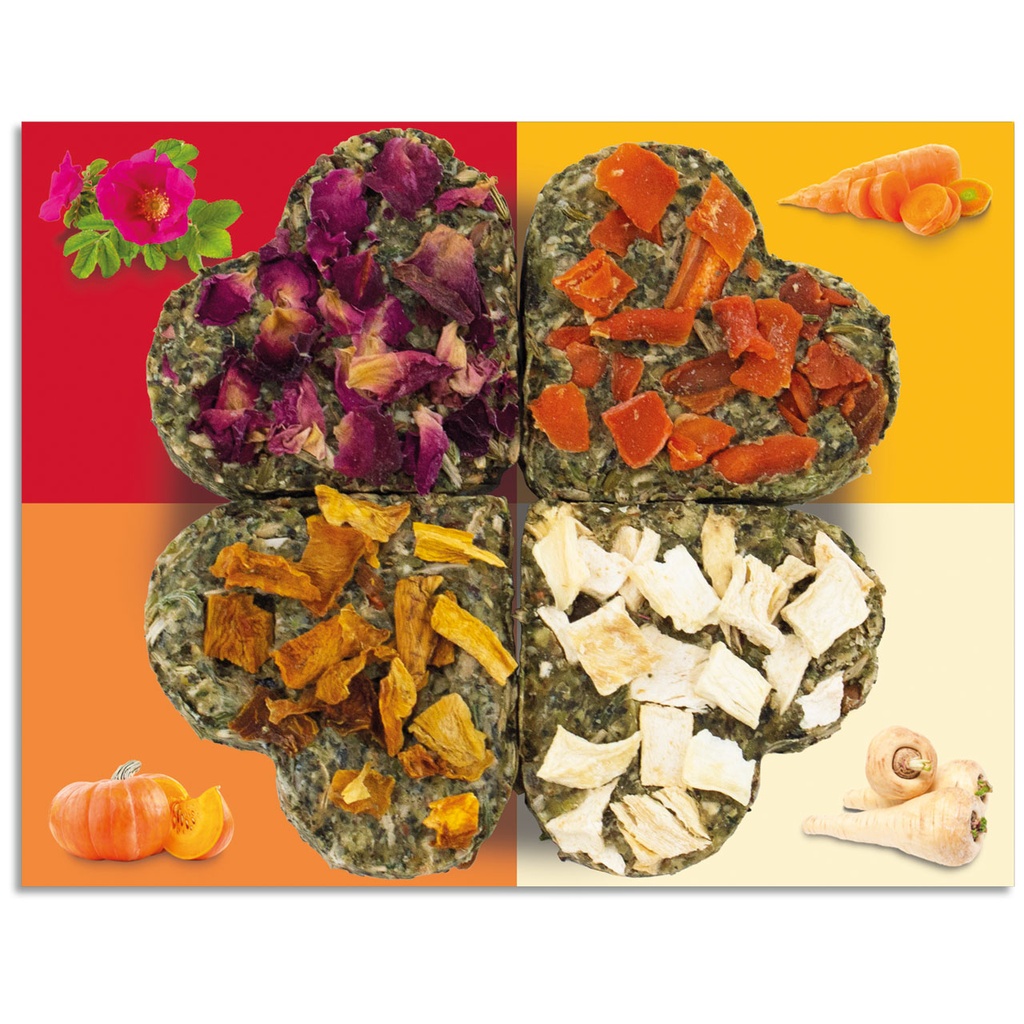 JR Farm Grainless Lucky-Quartet/ Quartet gagnant 