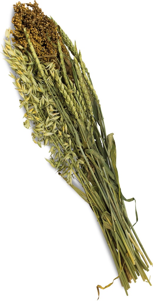 JR Farm Récolte d’été