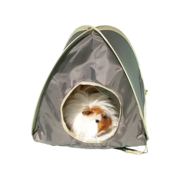 Pop-up tent