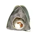 Pop-up tent