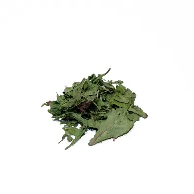 Dandelion leaves 1st