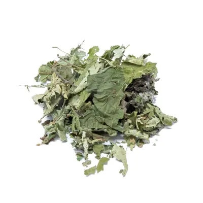 Feuilles de noisettes 