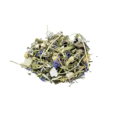 Herb Garden 