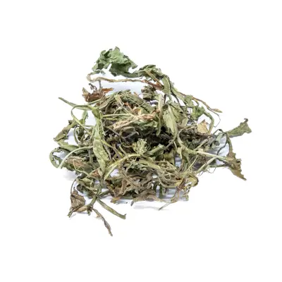 Feuilles Pissenlit deuxième choix 