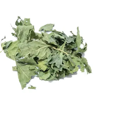 Mulberry leaves