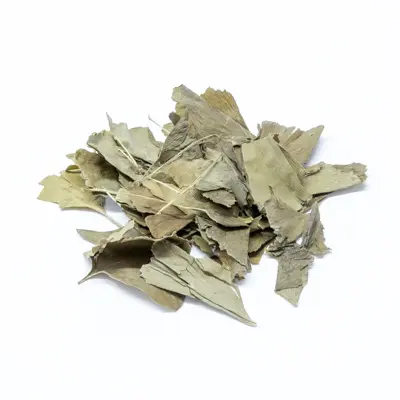 Ginkgo bladeren 