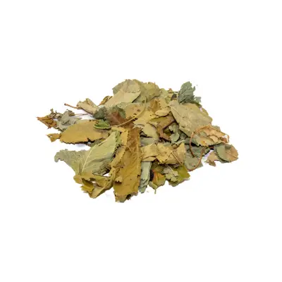 Feuilles de Cerisier