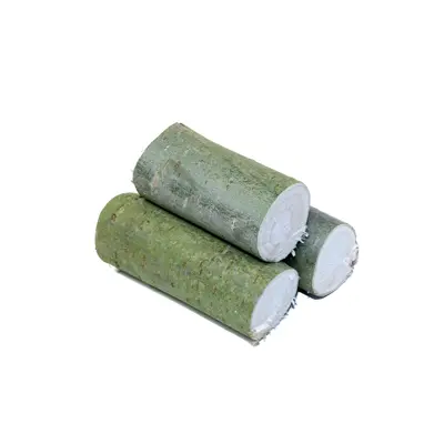 Branches de saule épaisses