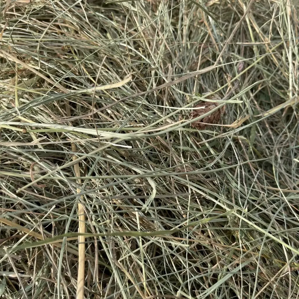 Premium German herbal hay - BALE