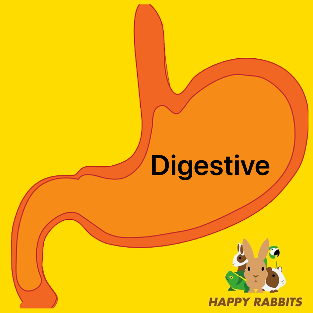 Herbal kit Digestion Rabbits - SUMMER