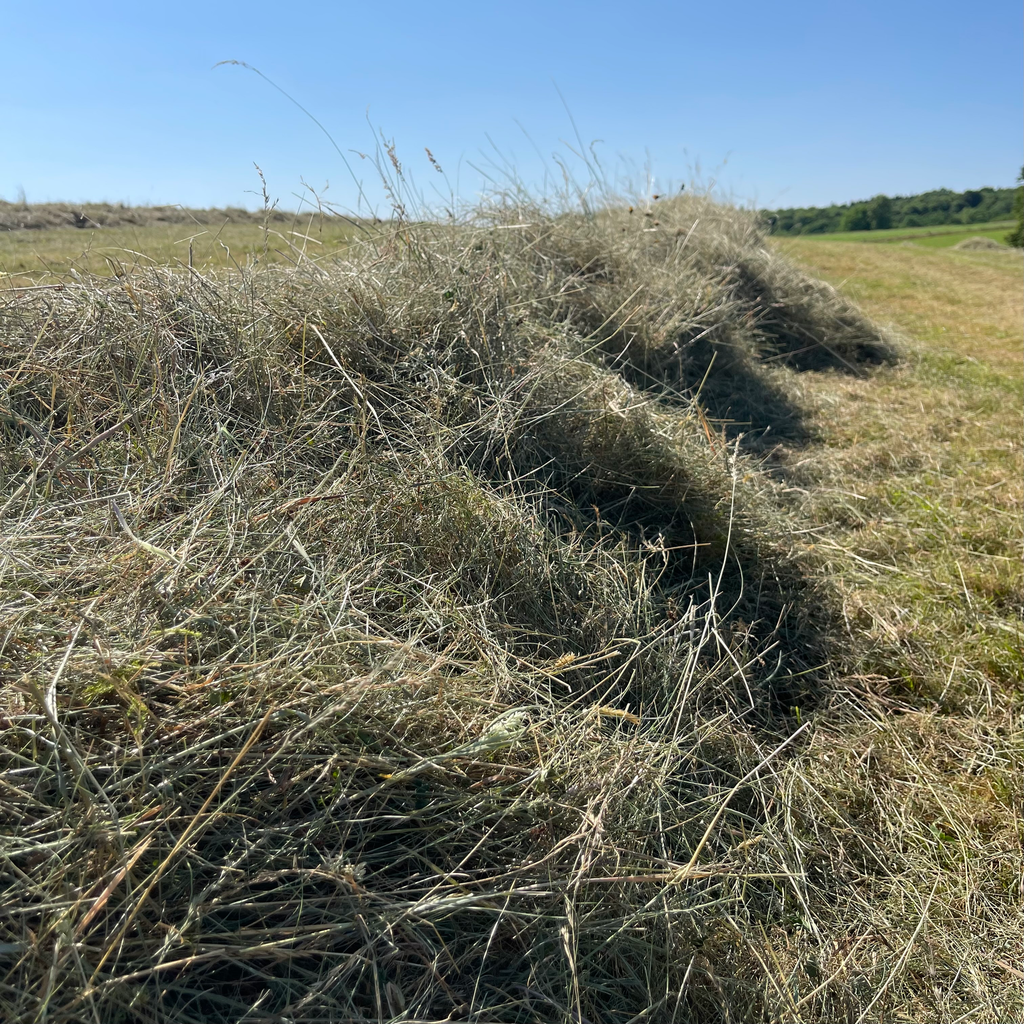 Foin naturel Belge