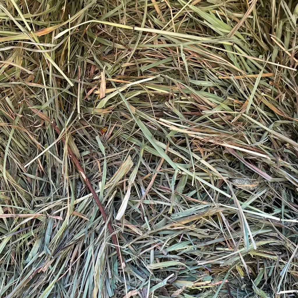 Balle de foin de Fléole des prés - European Deuxieme coupe