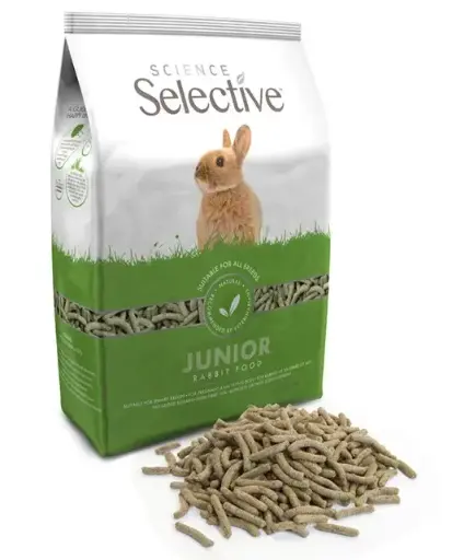 Science Selective Junior Rabbit