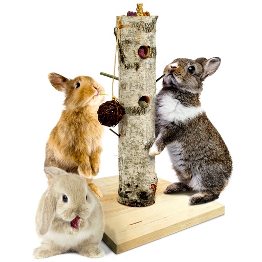 Jr Farm 'Back To Instinct' Speelboom