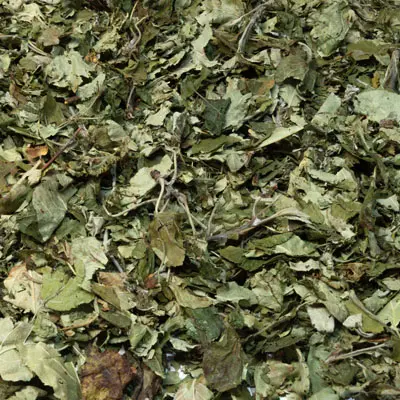 Apple Leaves 
