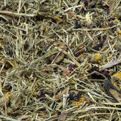 Colourful autumn mix 