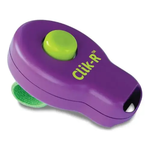 Clicker violet