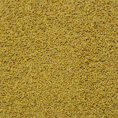 Fenugreek 