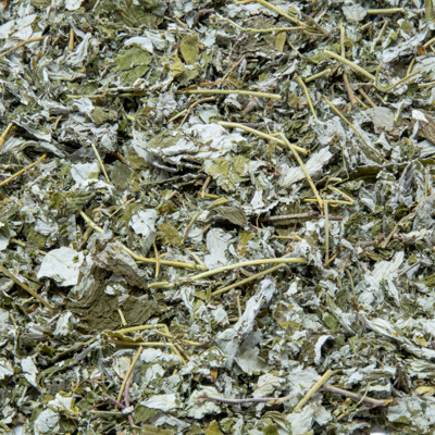 Feuille de framboise 