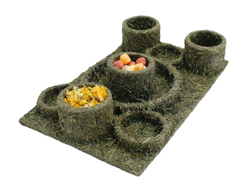 JR Farm Back to Instinct Fun-Park