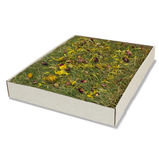 JR Farm Piece of nature Herb-Meadow 