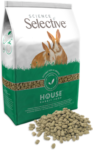 Science Selective House Rabbit