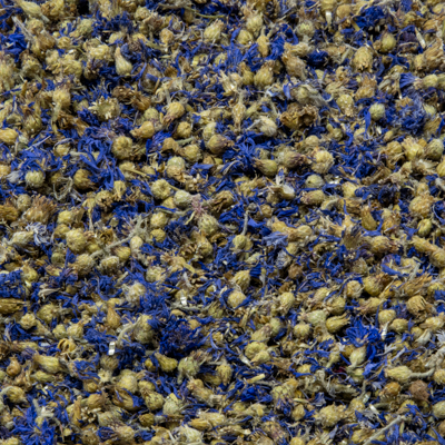 Bleuet bleu