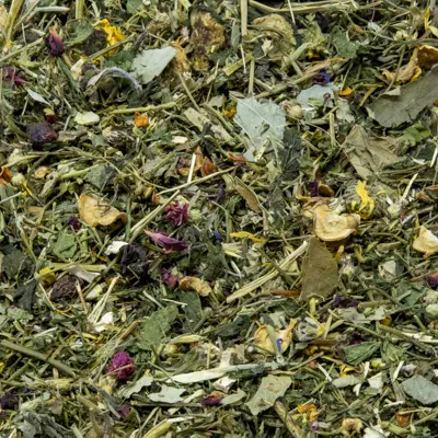 Mélange d'herbes pour lapins et cobayes