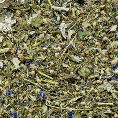 Herb Garden 