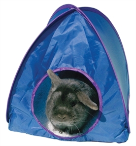 Pop-up tent