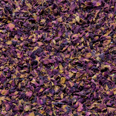 Rose flower petals