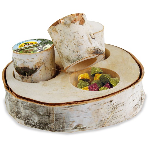 JR Farm Train The Brain