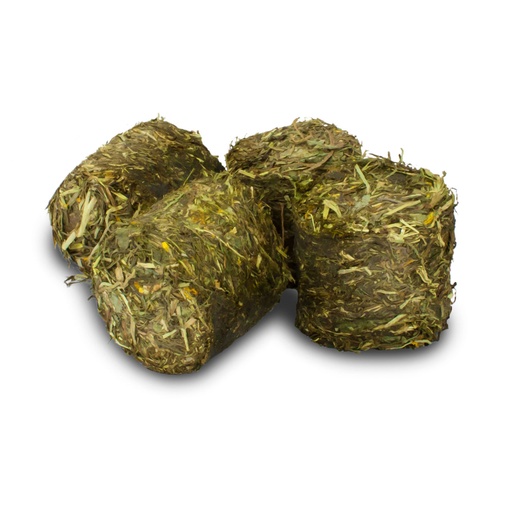 JR Farm Grainless Health Vital-Blocks 