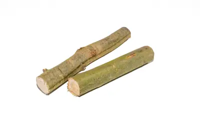 Thick willow branches