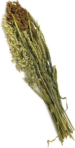 JR Farm Summer Harvest 