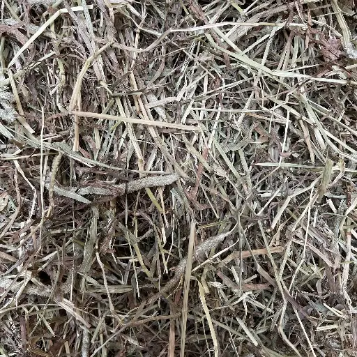 Balle de foin de Fléole des prés - European