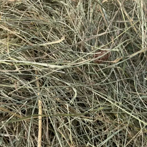 Premium Foin Allemand aux herbes - BOTTE