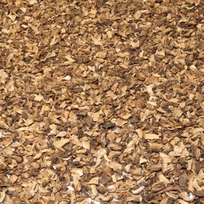 Cichoreiwortel gesneden